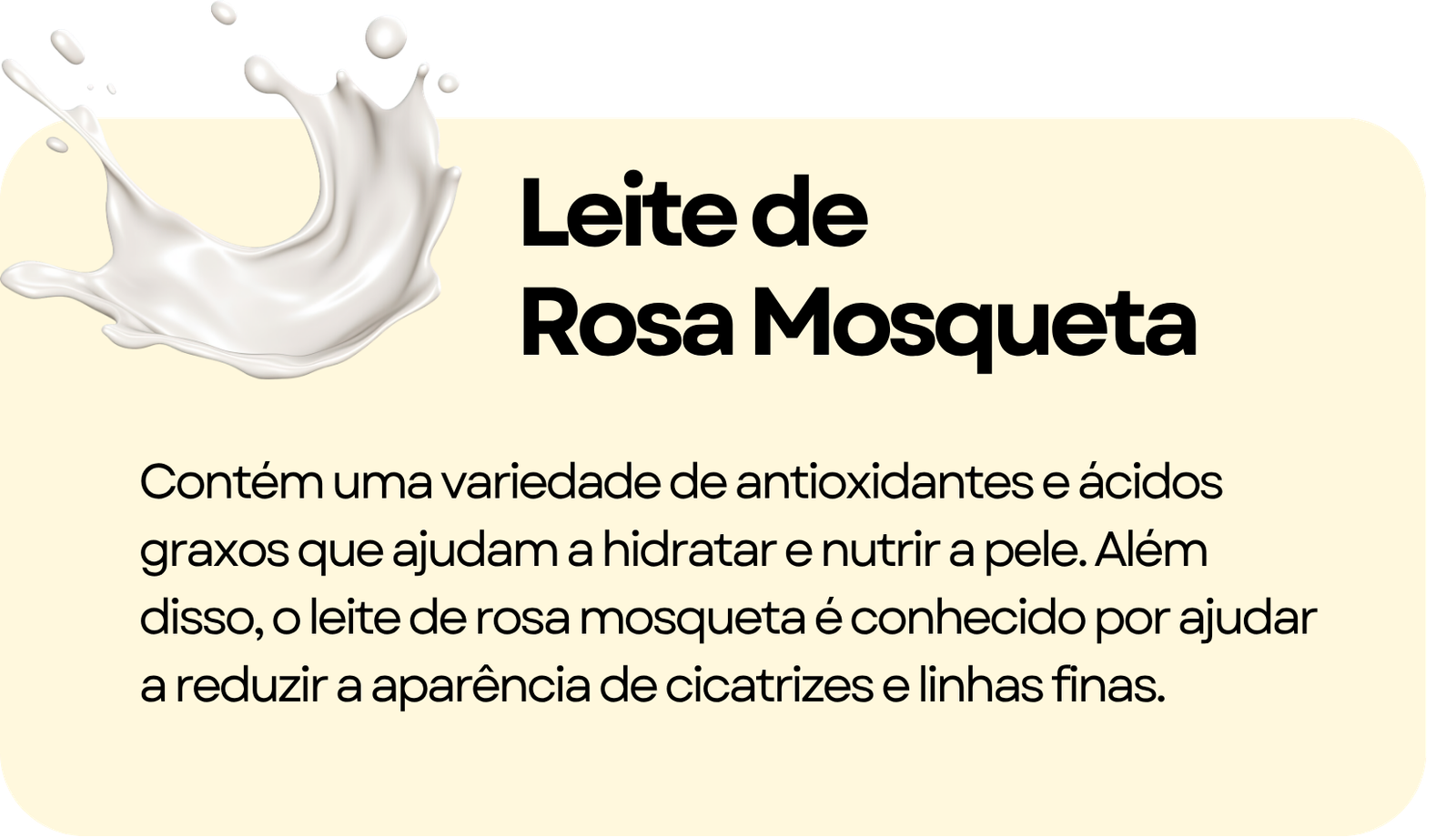 STORIES FRACTAL (12)